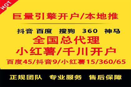 大型企业SEM外包实战案例